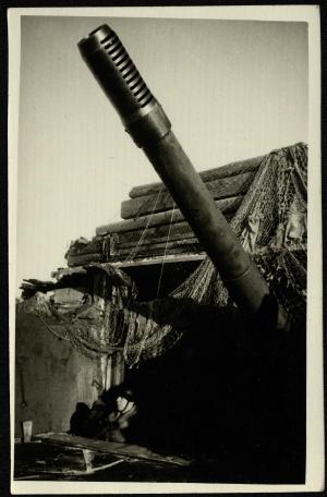 Обложка книги Наблюдатель у орудия Фотография