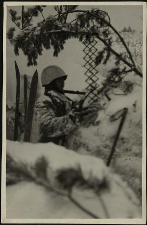 Обложка книги В зимнем окопе Фотография