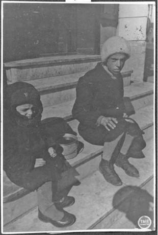 Обложка книги Дети, изголодавшиеся за зиму, греются на солнце. Июнь 1942 г. фотография