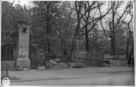 Обложка книги Решетка сада Дворца пионеров, разрушенная авиабомбой 13 октября 1941 г. фотография